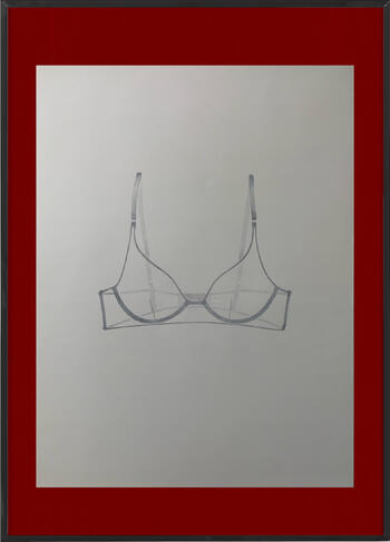 b1, 2024 18" x 24" coloured pencil on paper - frame digitally imposed