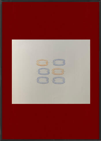 hc1, 2024 17" x 14" coloured pencil on paper - frame digitally imposed